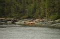 Inside Passage 'Prince Rupert - Port Hardy' 24_09_2011 (640)